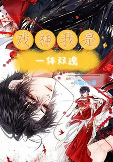 戲神我是一體雙魂 封面