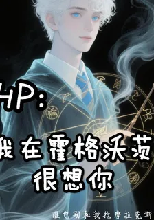 Hp我在霍格沃茨很想你 封面