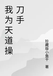 我爲天道操刀手 封面