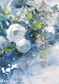 在陰天裏等待放晴 封面