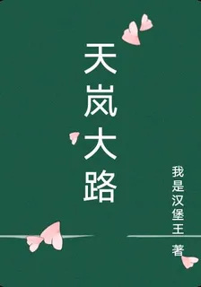 天嵐大路 封面