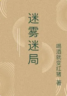 迷霧迷局 封面
