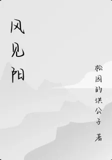 風見陽 封面