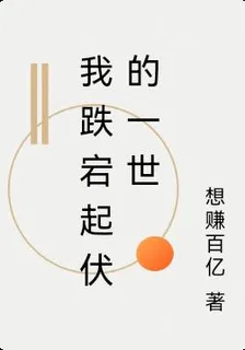 我跌宕起伏的一世 封面