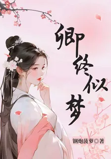 卿終似夢 封面