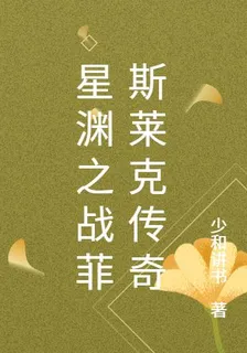 帝國精英戰機傳奇 封面