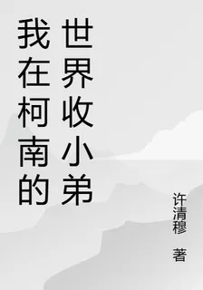 我在柯南的世界收小弟 封面