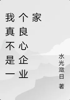 我真不是一個良心企業家 封面
