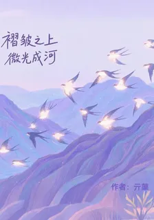 褶皺之上，微光成河 封面