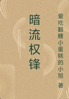 暗流權鋒 封面