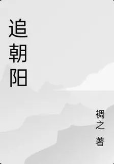 追朝陽 封面