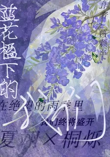 藍花楹下的我們 封面