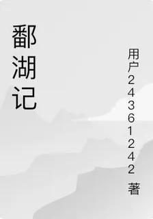 鄱湖記 封面