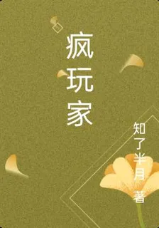 瘋玩家 封面