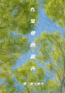 九里巷的夏天 封面