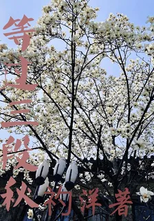 等過三段秋 封面
