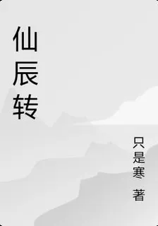 仙辰轉 封面