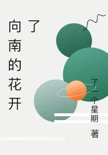 向南的花開了 封面