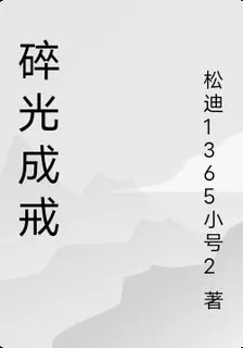 碎光成戒 封面