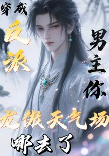穿成反派男主你龍傲天氣場哪去了 封面