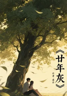 廿年灰 封面