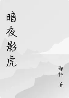 暗夜影虎 封面