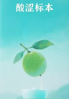 酸澀標本 封面