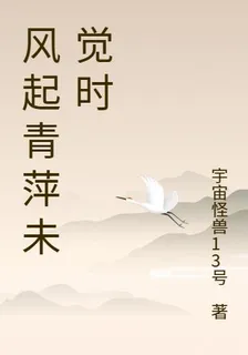 風起青萍未覺時 封面