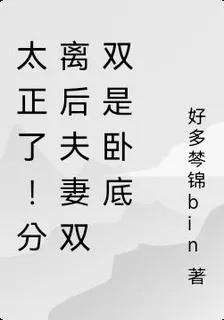 太正了！分離後夫妻雙雙是臥底 封面