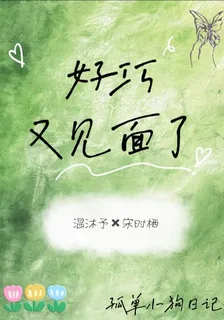 好巧：又見面了 封面