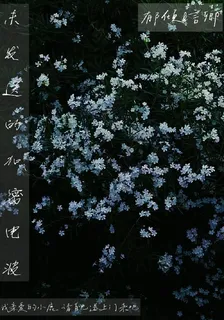 未發送的加密電波 封面