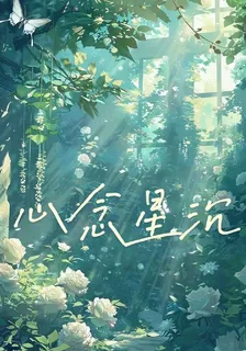 心念星沉 封面