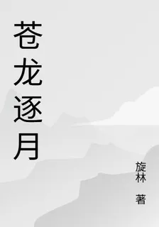 蒼龍逐月 封面