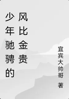 少年馳騁的風比金貴 封面