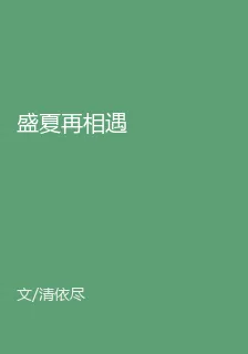 盛夏再相遇 封面