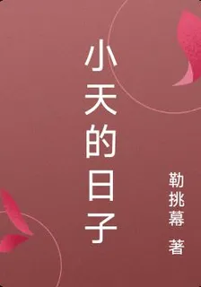 小天的日子 封面