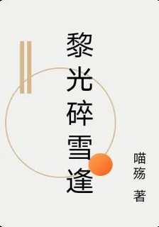 黎光碎雪逢 封面