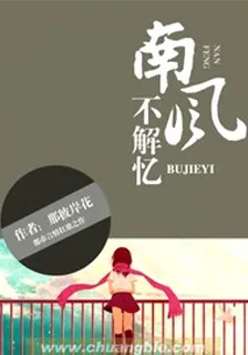 南風不解憶 封面