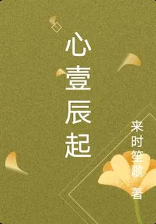 心壹辰起 封面