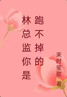 林總監你是跑不掉的 封面