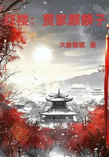紅樓：賈家麒麟子 封面