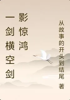 一劍橫空劍影驚鴻 封面