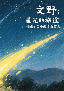 文野：星光的旅途 封面