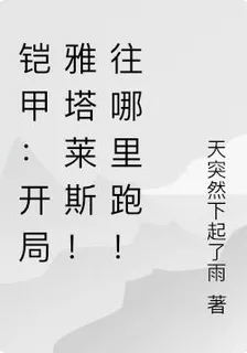 鎧甲：開局雅塔萊斯！往哪裏跑！ 封面