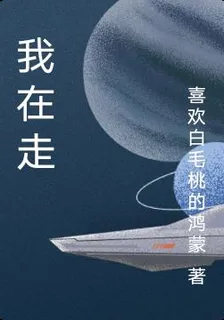 我在走 封面