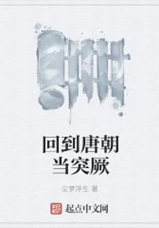 回到唐朝當突厥 封面