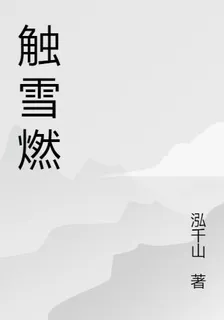 觸雪燃 封面