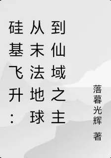 硅基飛昇：從末法地球到仙域之主 封面