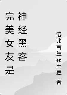 完美女友是神經黑客 封面
