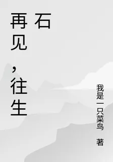 再見，往生石 封面